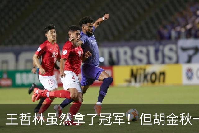 王哲林虽然拿了冠军！但胡金秋一个数据曝光，才知道谁是真核